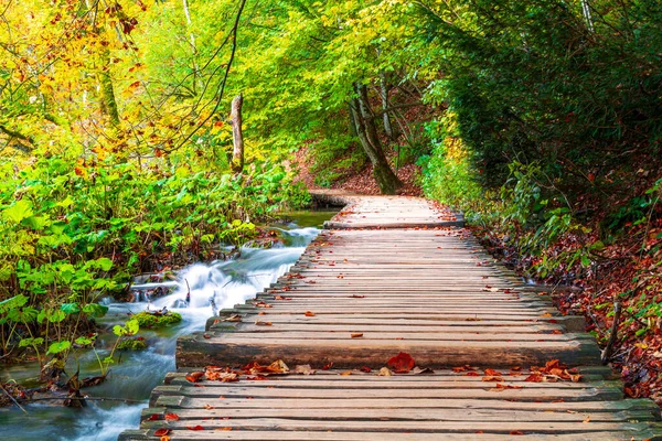 Krásné Podzimní Barvy Slavných Plitvických Jezer Mnoho Krásných Vodopádů Plitvický — Stock fotografie