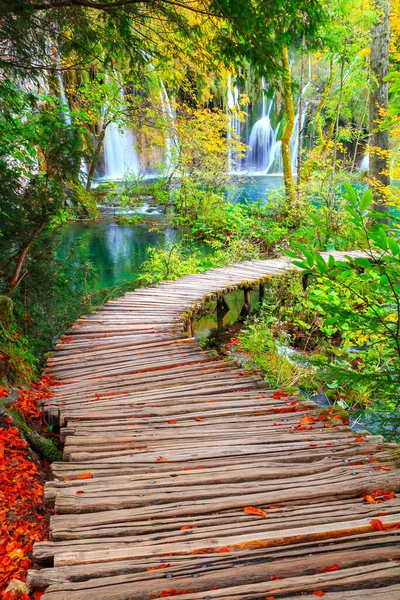 Schöne Herbstfarben Den Berühmten Plitvicer Seen Viele Schöne Wasserfälle Plitvicer — Stockfoto