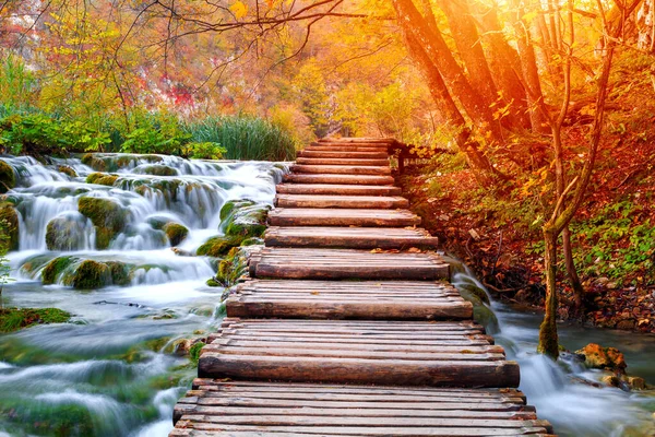 Ünlü Plitvice göllerinde güzel sonbahar renkleri, Hırvatistan 'da birçok güzel şelale, Plitvice Ulusal Parkı
