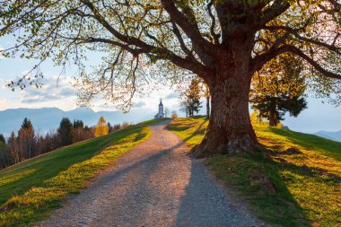 Tepenin üstünde muhteşem St. Primus Kilisesi ve St. Felician manzarası güzel Jamnik köyü, Kranj köyü güneş doğarken Slovenya 'daki Triglav Ulusal Parkı