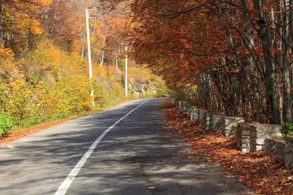 トランシルヴァニアの秋の道 — ストック写真