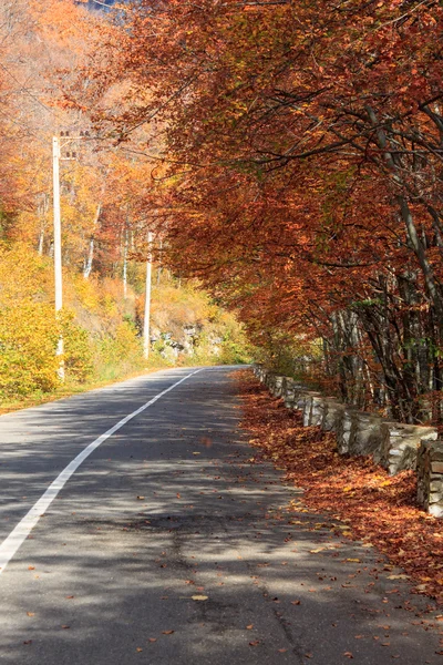 Podzimní cesta v Transylvánii — Stock fotografie