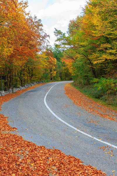 Podzimní cesta v Transylvánii — Stock fotografie
