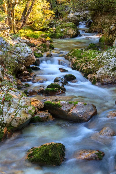 Gebirgsbach im Lepanatal — Stockfoto