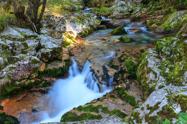 Gebirgsbach im Lepanatal — Stockfoto