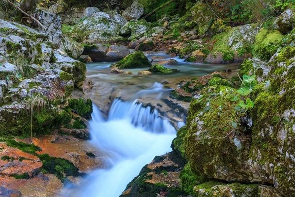 Ruisseau de montagne dans la vallée de Lepena — Photo