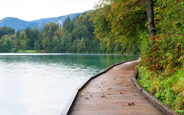 Lindo lago Bled ao lado do cais — Fotografia de Stock