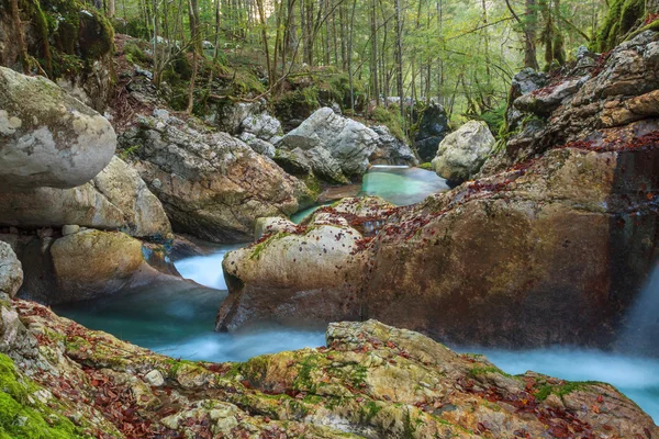 Górski potok w dolinie Lepena — Zdjęcie stockowe