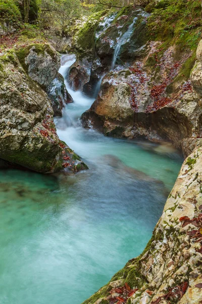 Górski potok w dolinie Lepena — Zdjęcie stockowe