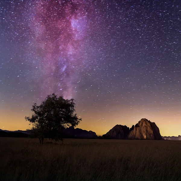 Albero solitario e via lattea — Foto Stock