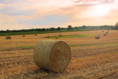 Gün batımında saman balya