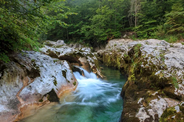 Mostnica canyon — Stockfoto