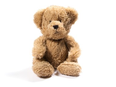 peluş oyuncak ayı