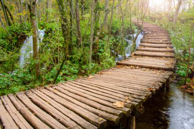 Ahşap sonbahar Plitvice milli parkta yolundaki