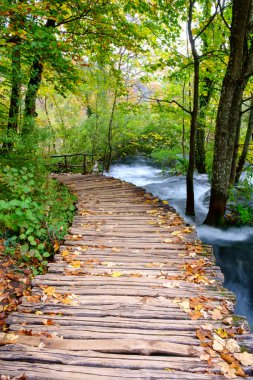 Ahşap sonbahar Plitvice milli parkta yolundaki