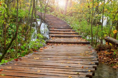 Ahşap sonbahar Plitvice milli parkta yolundaki