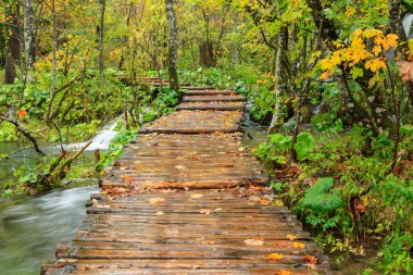 Ahşap sonbahar Plitvice milli parkta yolundaki