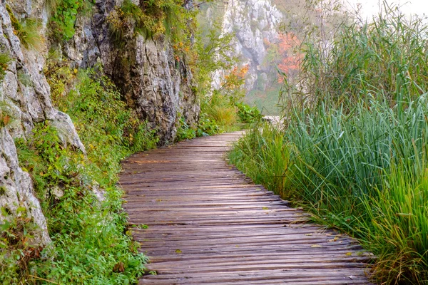 Деревянная дорожка в Плитвицком национальном парке осенью — стоковое фото