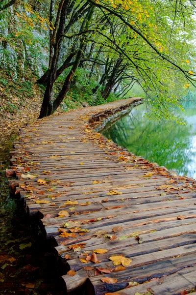 Camino del bosque en el parque nacional de Plitvice en otoño — Foto de Stock