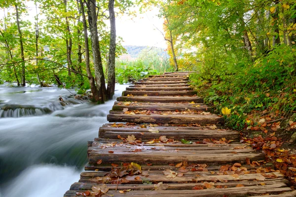 Wood path in the Plitvice national park in autumn