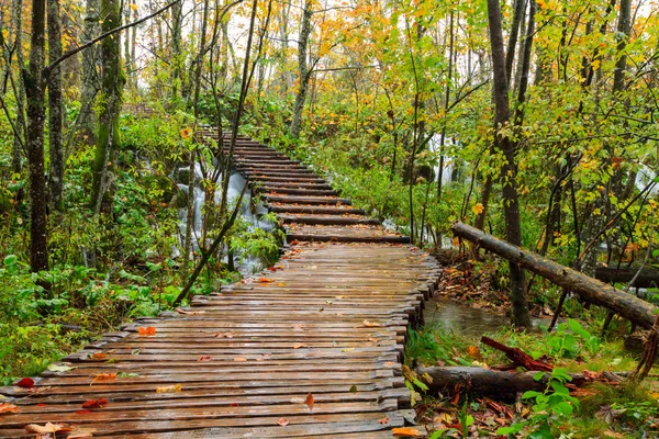 十六国家公园在秋天木路径 — 图库照片