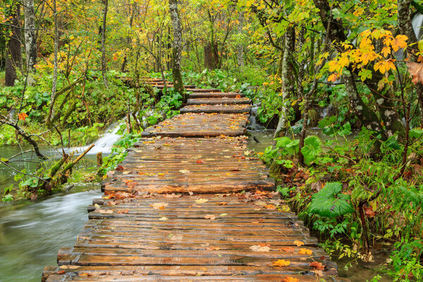 Wood path in the Plitvice national park in autumn