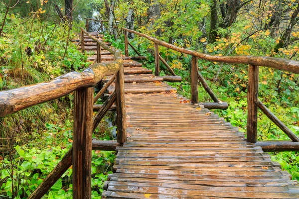 Деревянная дорожка в Плитвицком национальном парке осенью — стоковое фото