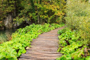 Ahşap sonbahar Plitvice milli parkta yolundaki