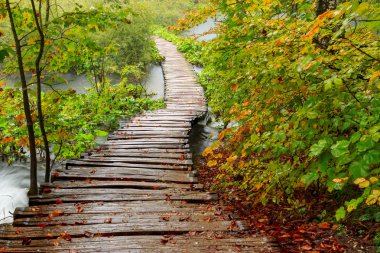 Ahşap sonbahar Plitvice milli parkta yolundaki