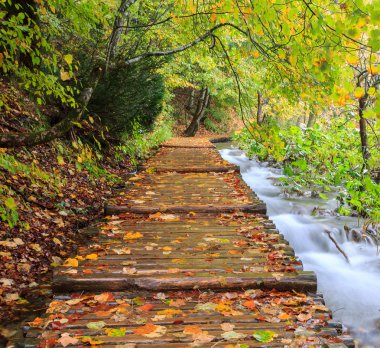 Ahşap sonbahar Plitvice milli parkta yolundaki