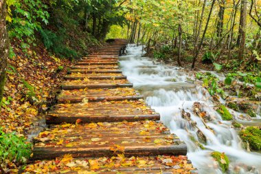 Ahşap sonbahar Plitvice milli parkta yolundaki