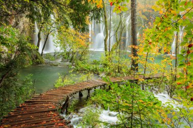 Ahşap sonbahar Plitvice milli parkta yolundaki