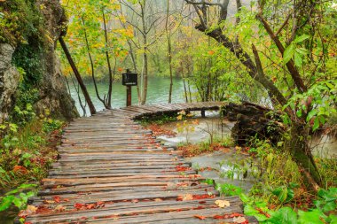 Ahşap sonbahar Plitvice milli parkta yolundaki