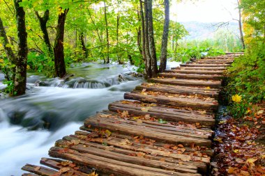 Ahşap sonbahar Plitvice milli parkta yolundaki