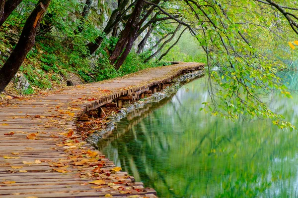 Ahşap sonbahar Plitvice milli parkta yolundaki