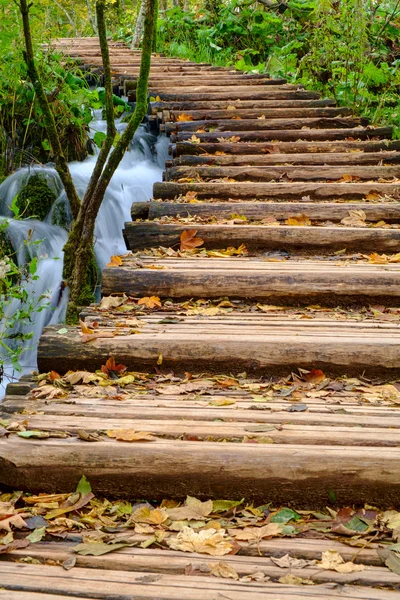 Camino del bosque en el parque nacional de Plitvice en otoño — Foto de Stock