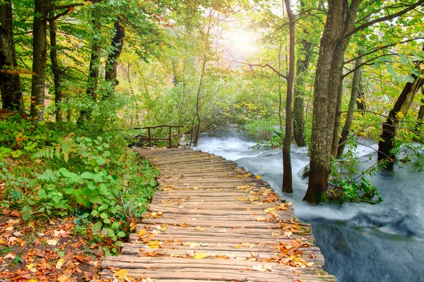 Lesní cestě v národním parku Plitvická na podzim — Stock fotografie