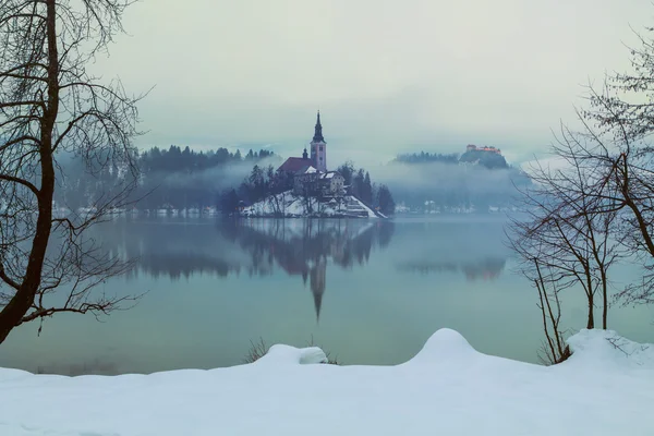 Foggy evening on Bled lake at winter — Stock Photo, Image