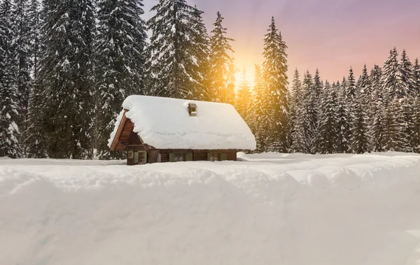 Acogedora escena invernal con árboles cubiertos de nieve en las montañas — Foto de Stock