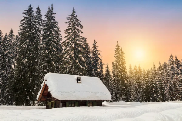 Cosy winter scene with snow-covered trees in the mountains — Stock Photo, Image