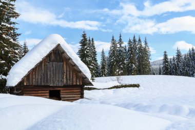 Dağlarda karla kaplı ağaçlar ile rahat kış sahne
