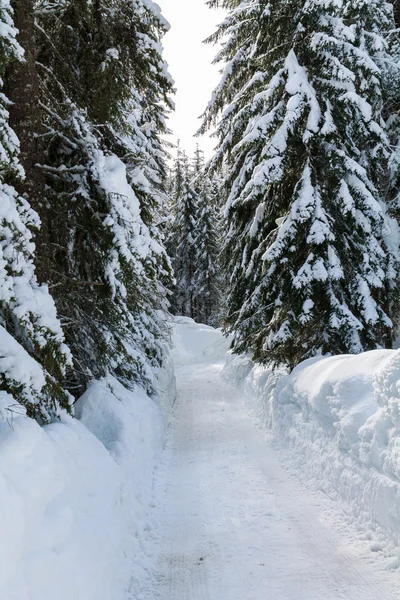 在山上白雪皑皑的冬季道路 — 图库照片