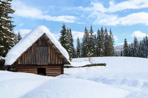 Gezellige winter scène met besneeuwde bomen in de bergen — Stockfoto