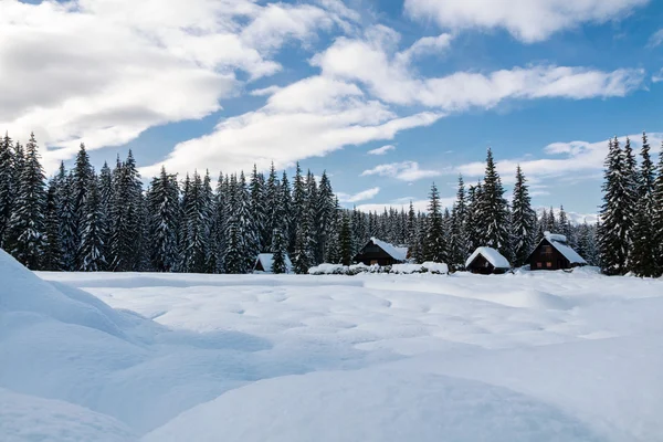 Scène hivernale accueillante avec des arbres enneigés dans les montagnes — Photo