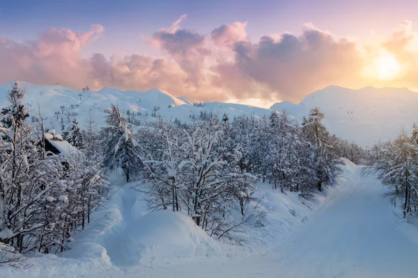 舒适的冬天场景与雪覆盖在山的树 — 图库照片