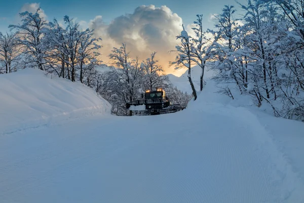 舒适的冬天场景与雪覆盖在山的树 — 图库照片