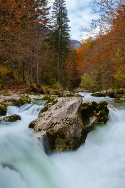 Dağlarda, Mostnica Korita, Julia Alpleri'nin muhteşem nehir