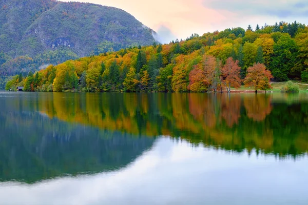 Lago Bohinj los Alpes Julianos —  Fotos de Stock