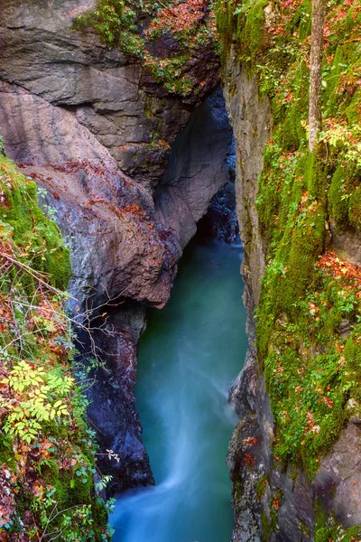 Incroyable rivière dans les montagnes, Mostnica Korita, Alpes Julia — Photo