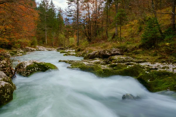 Erstaunlicher Fluss in den Bergen, mostnica korita, julia alps Stockbild